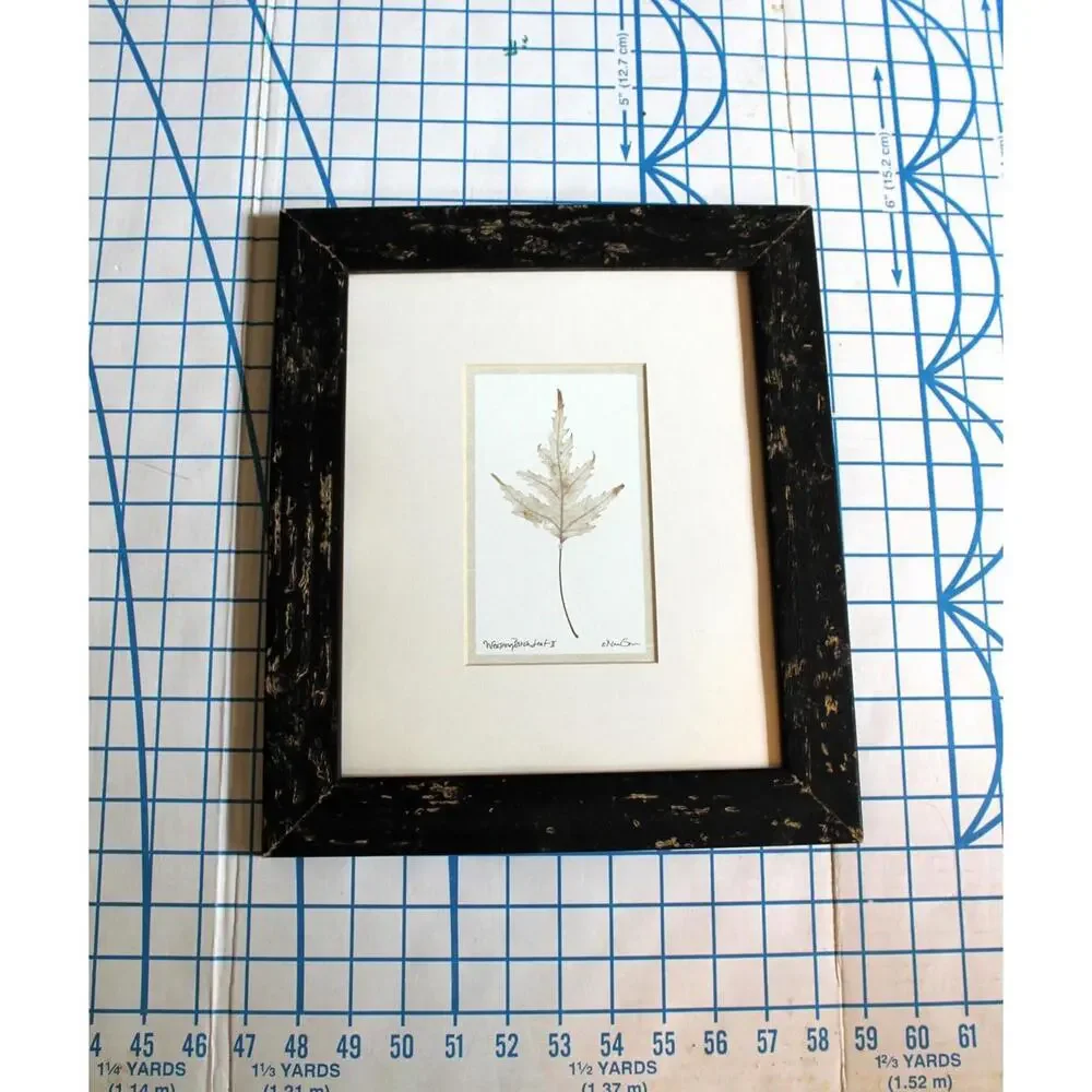 Framed Print by Nan Goss, 